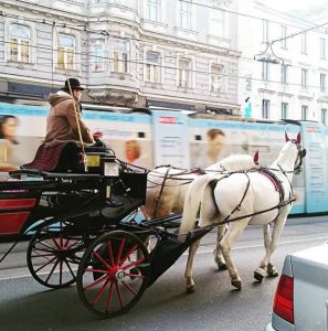 Fiaker Vienna Austria