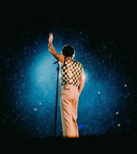 Harry Styles Love on Tour in Vienna
