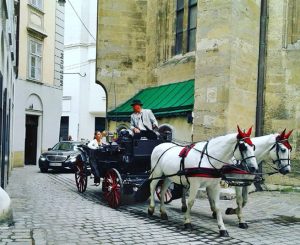 Fiaker in Vienna Austria (horse drawn carriage)